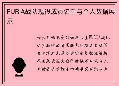 FURIA战队现役成员名单与个人数据展示